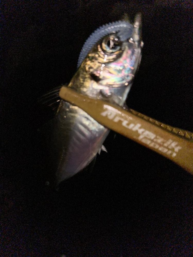 フロートゲーム