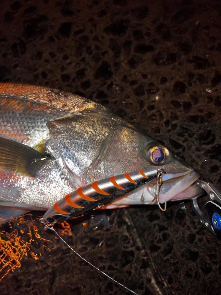 シンペンを縦に流すと。