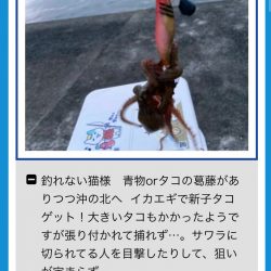 狙いは絞って行く方が釣りやすい!?