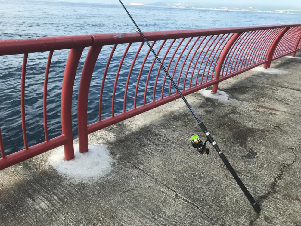 今日も平磯で…