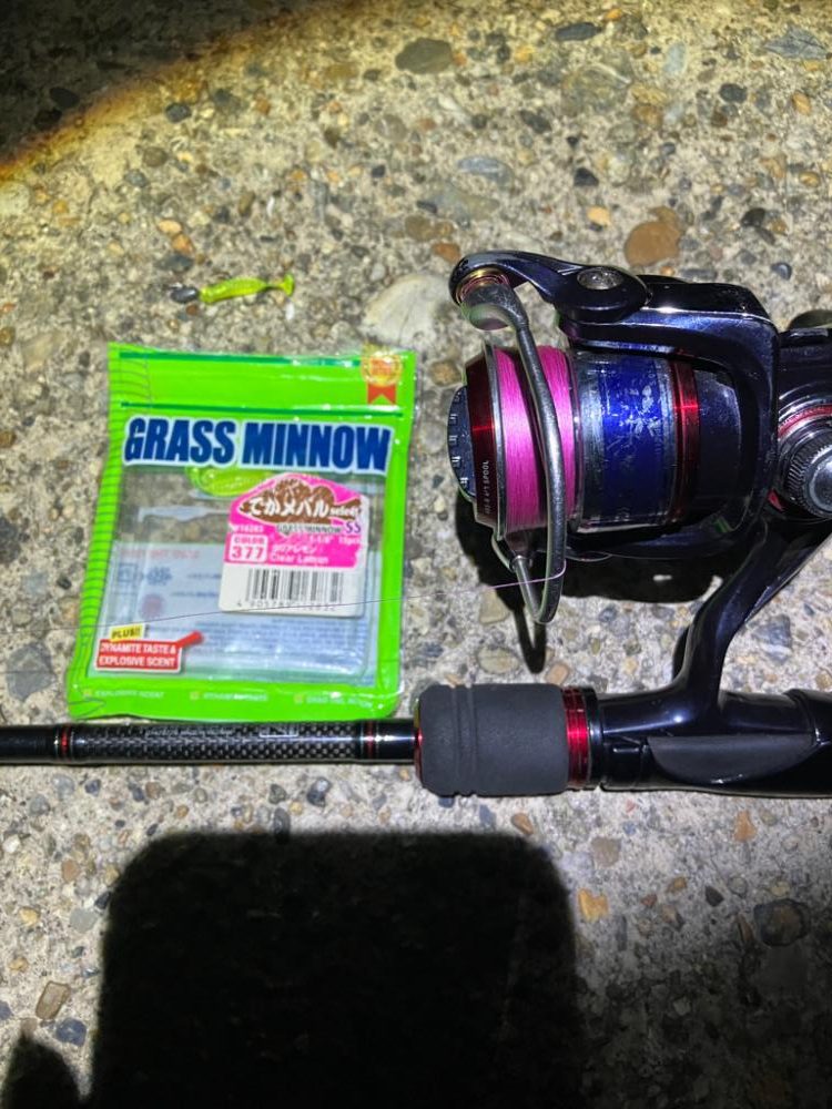 梅雨メバリング(^｡^)