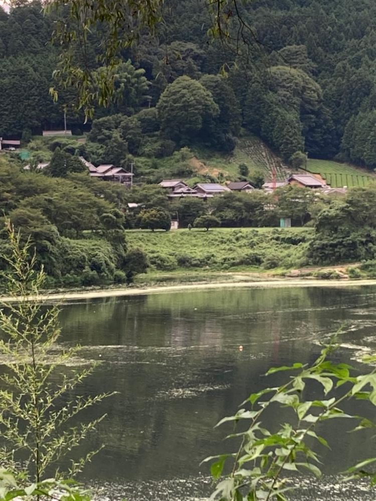 真夏の布目ダム