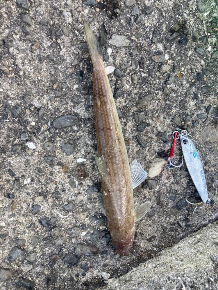 ジグザグカニ歩き釣法