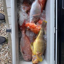 真鯛記録更新 初の70!