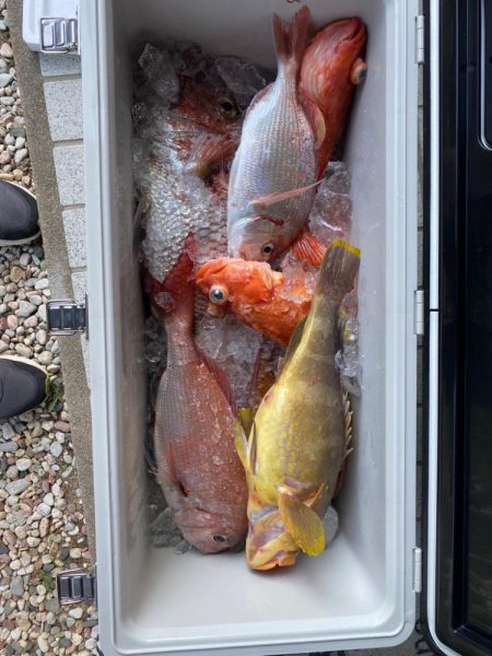 真鯛記録更新 初の70!