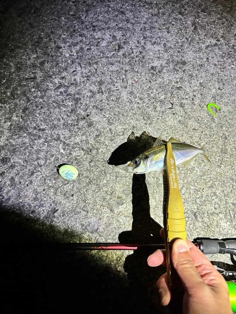 懲りずにフロートゲーム