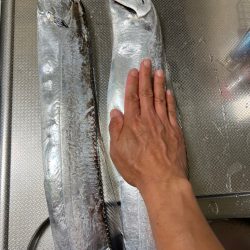 今年初のアイツ