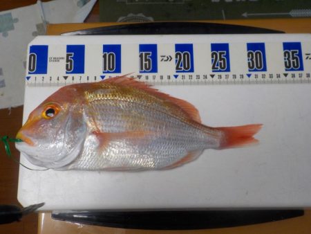 アマラバ初挑戦