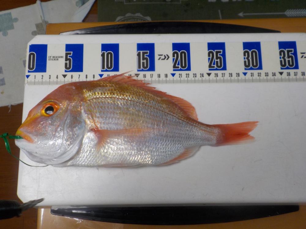 アマラバ初挑戦