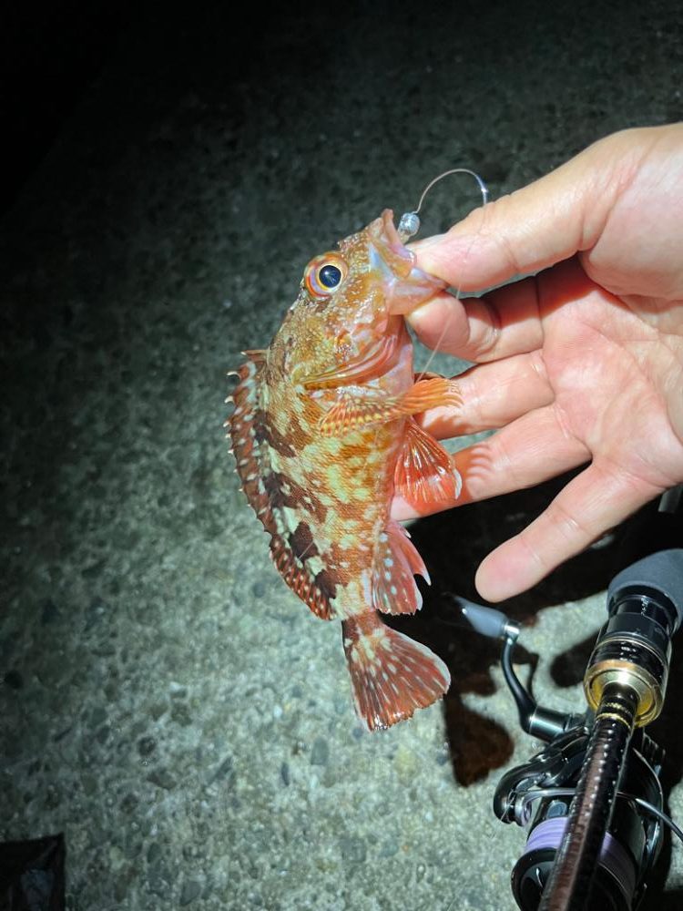 港湾ガシリング