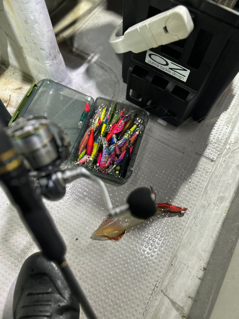 激渋イカメタル