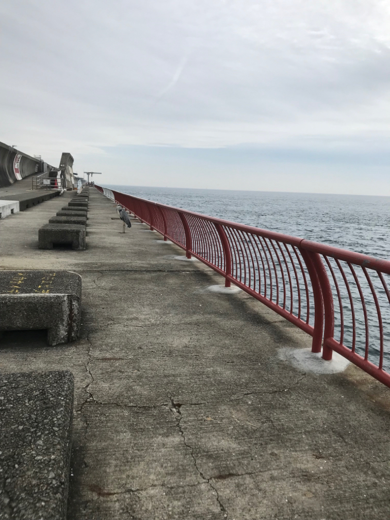 潮が速いので…