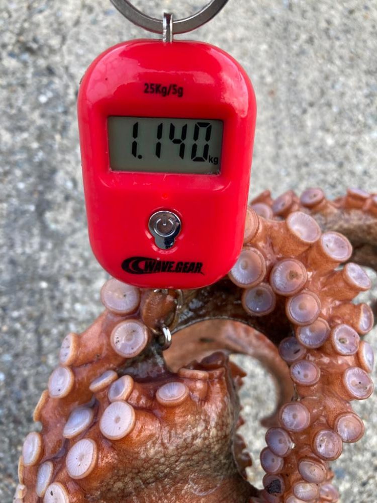 ⭐︎初のキロアップ