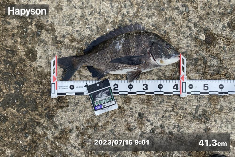 少し風が強い日