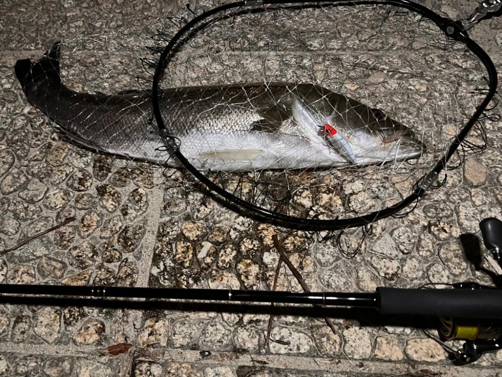 下げ潮ドリフトでドン