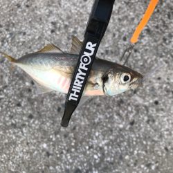 久しぶりのエリアにて🎣