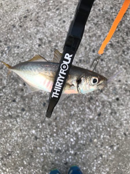 久しぶりのエリアにて🎣