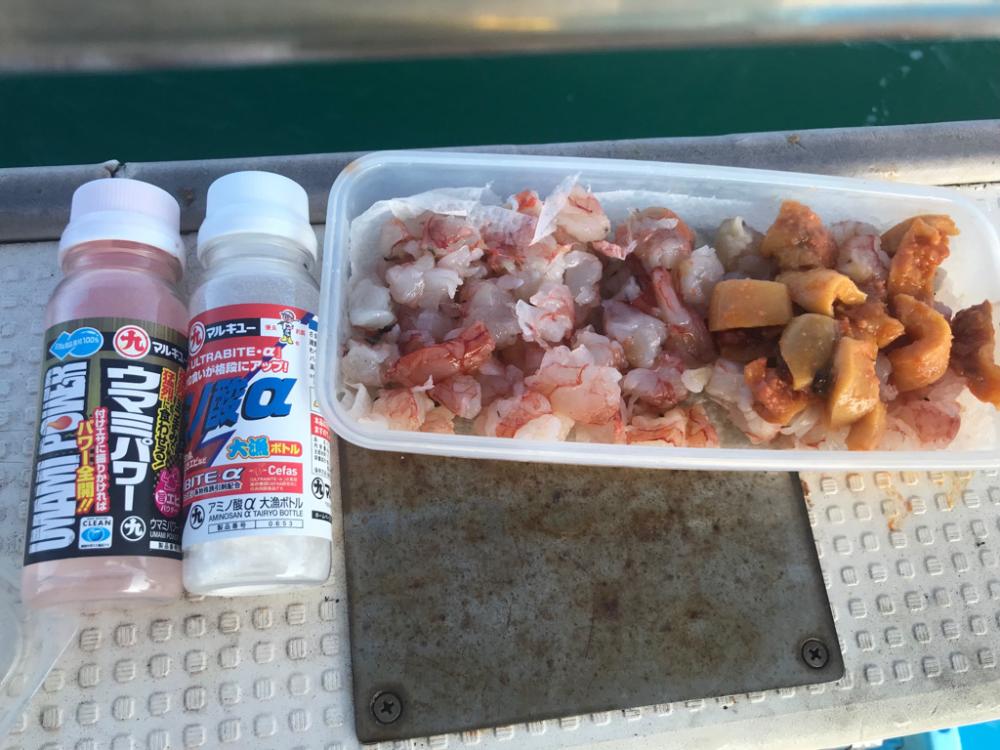 爆釣！室津の夏フグ