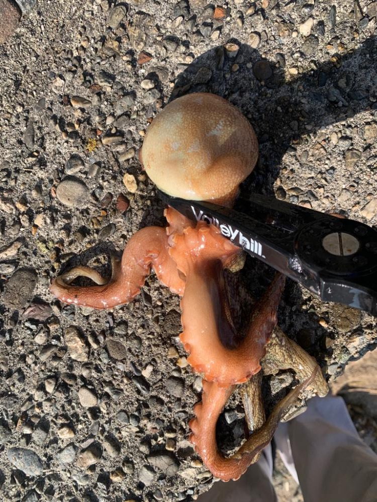 激渋の中、何とか!