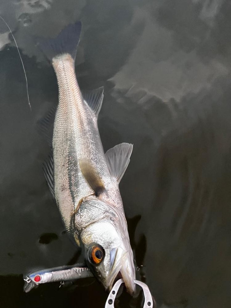 うぇーでぃんぐ