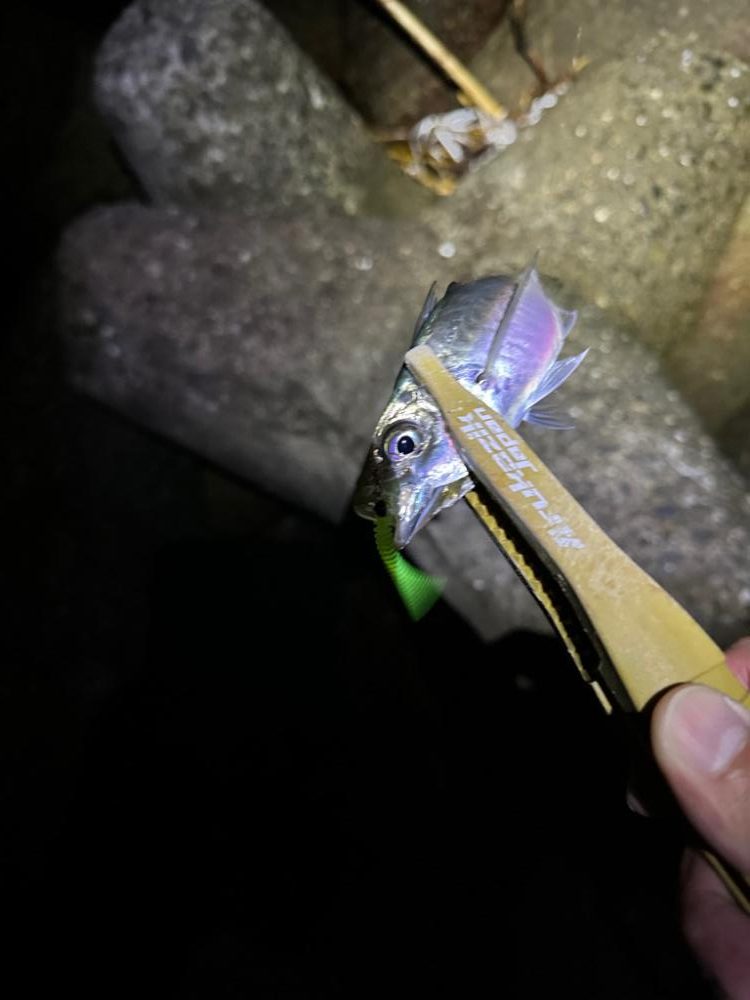 暴風フロートゲーム