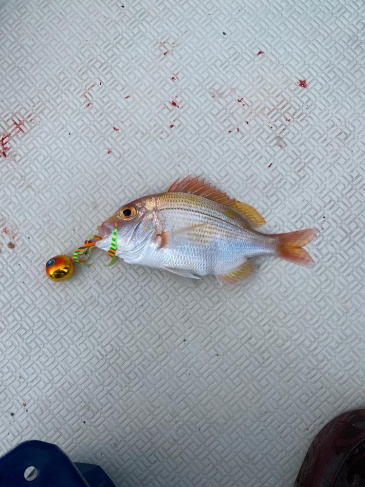 レンタルボート釣行