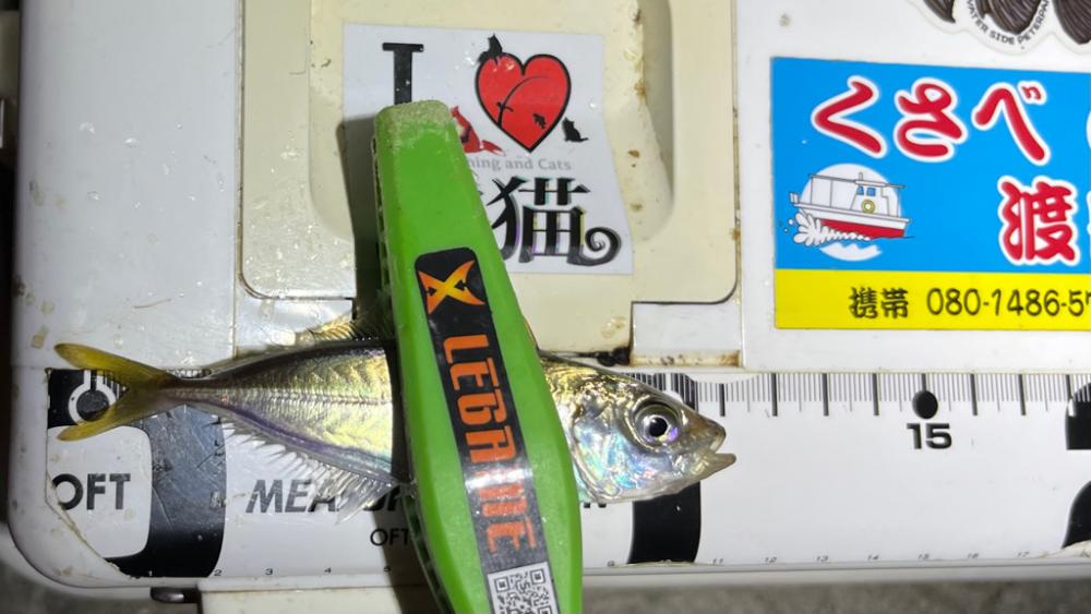 超お豆アジング