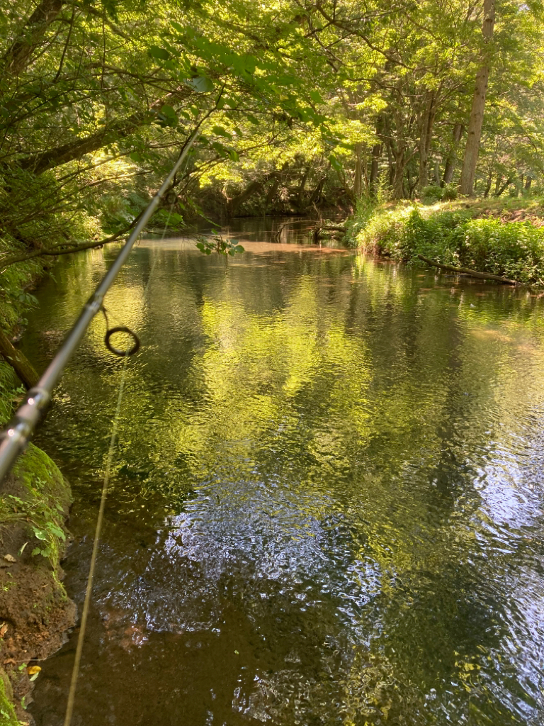 渓流釣り