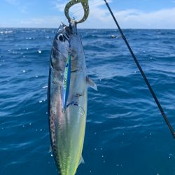 カヤックフィッシング