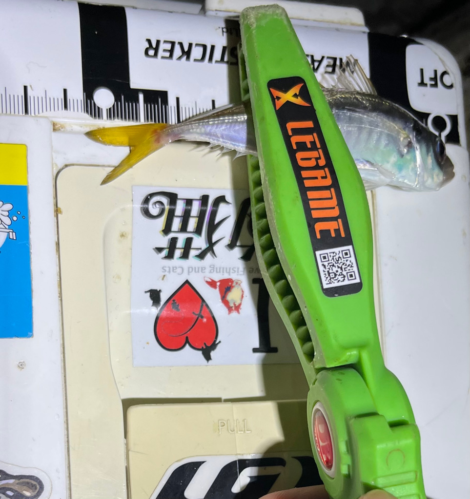 スーパー豆アジング