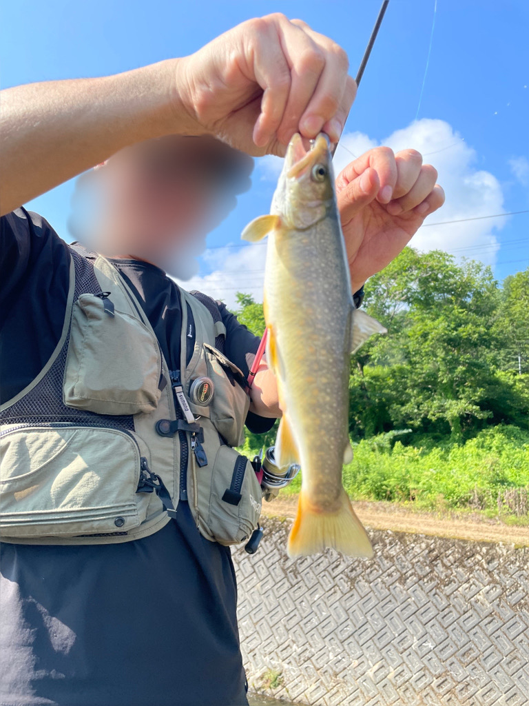 渓流ルアー＆エサ釣り