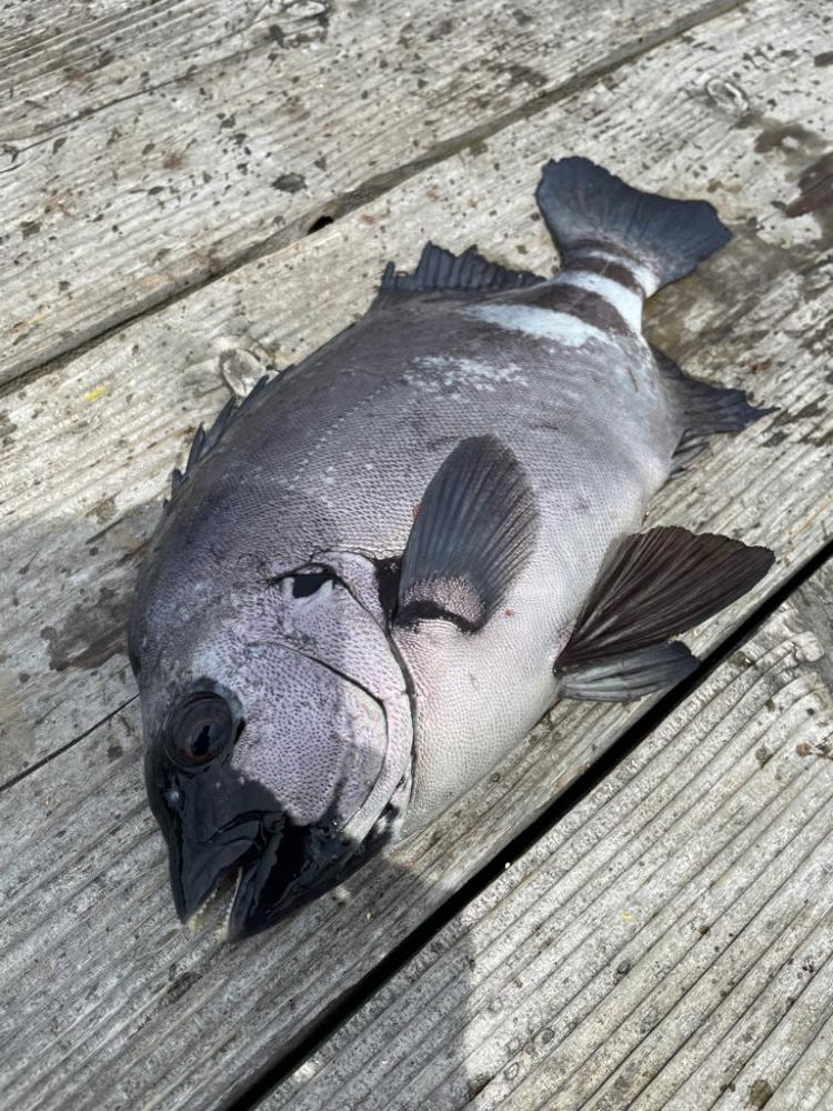 釣堀　水宝さんにて