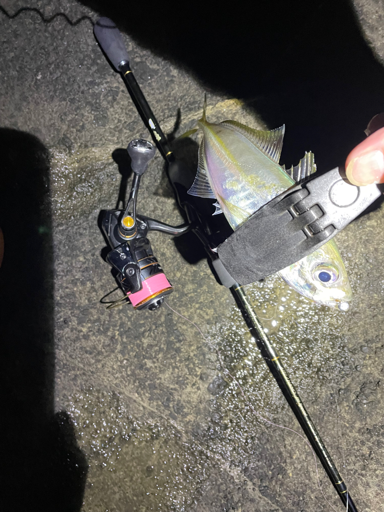 2023 佐渡ヶ島 ライトゲーム 7月17日