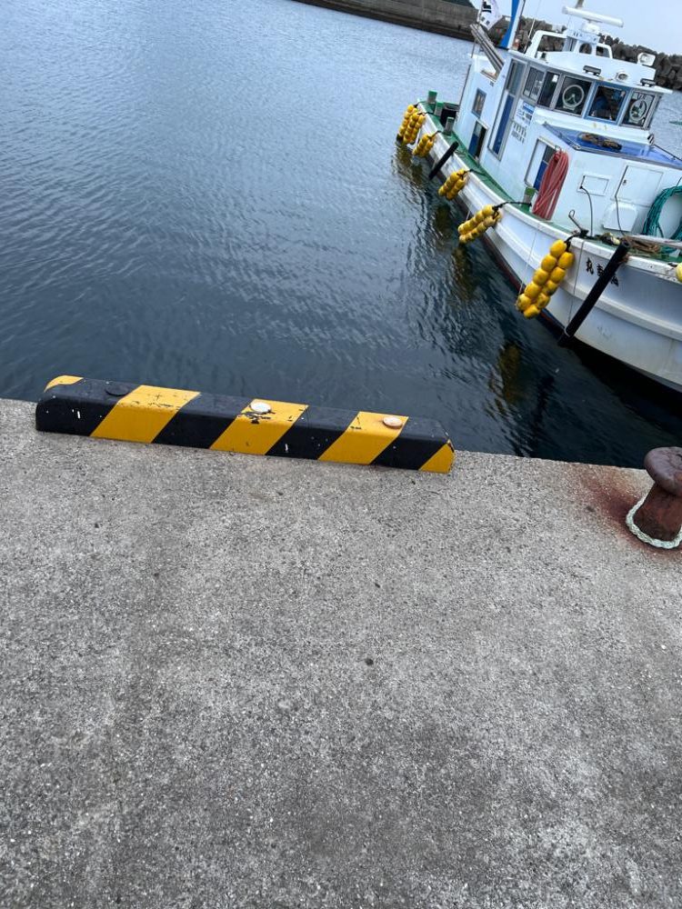 マゴチどこに居てるの