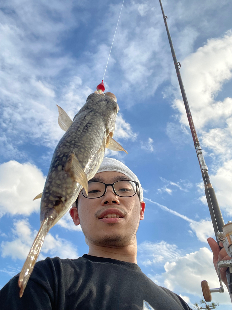 シロギス釣れてます!アジ釣れず…