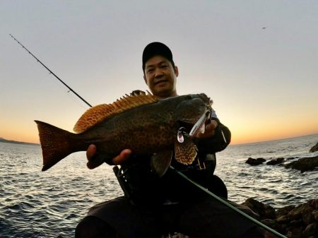 ジャックアイマキマキ無双