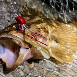 タケノコ&ガシラにもずるずるチーヌ！