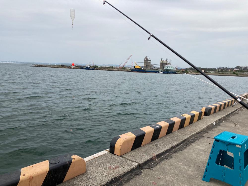 豆アジが釣れ出した!