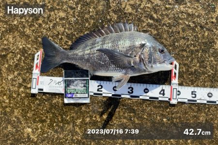 また強く風が吹き始め