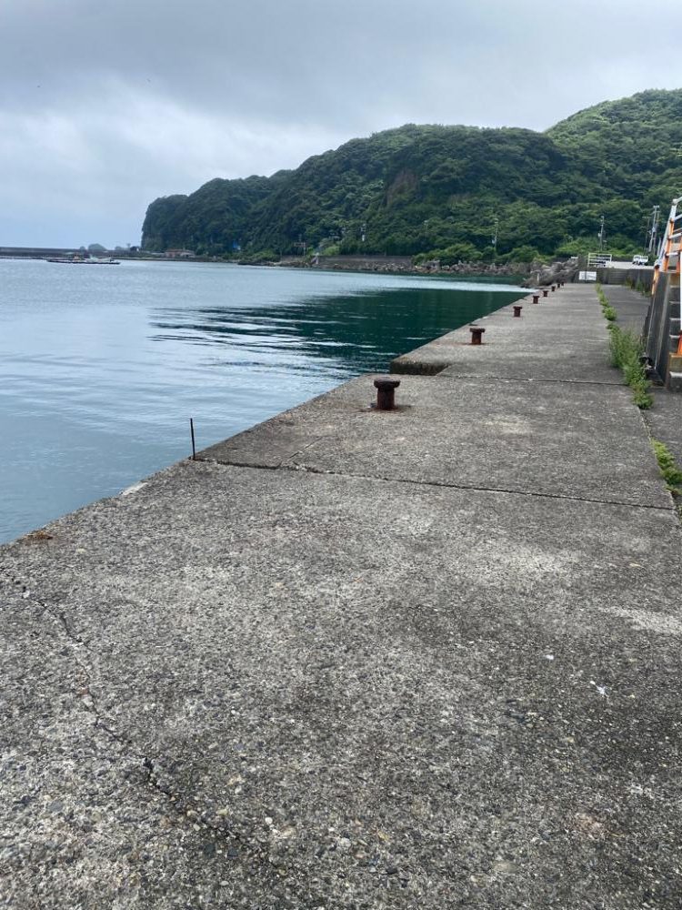 漁港でツバスゲット