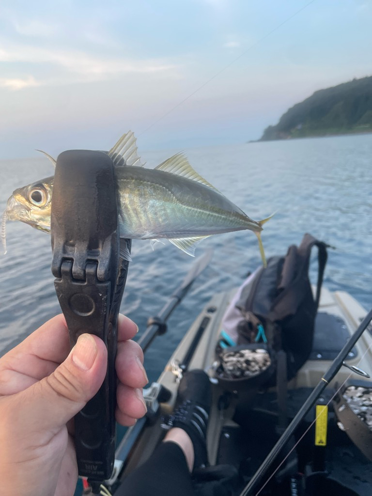 2023 佐渡ヶ島カヤックフィッシング 7月30日