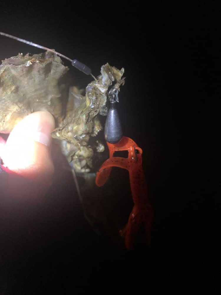 チニング開拓調査