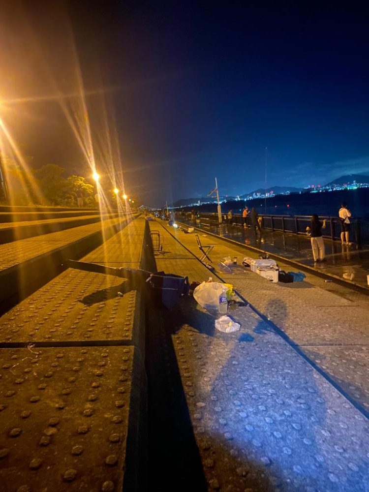 大サバ釣れてます