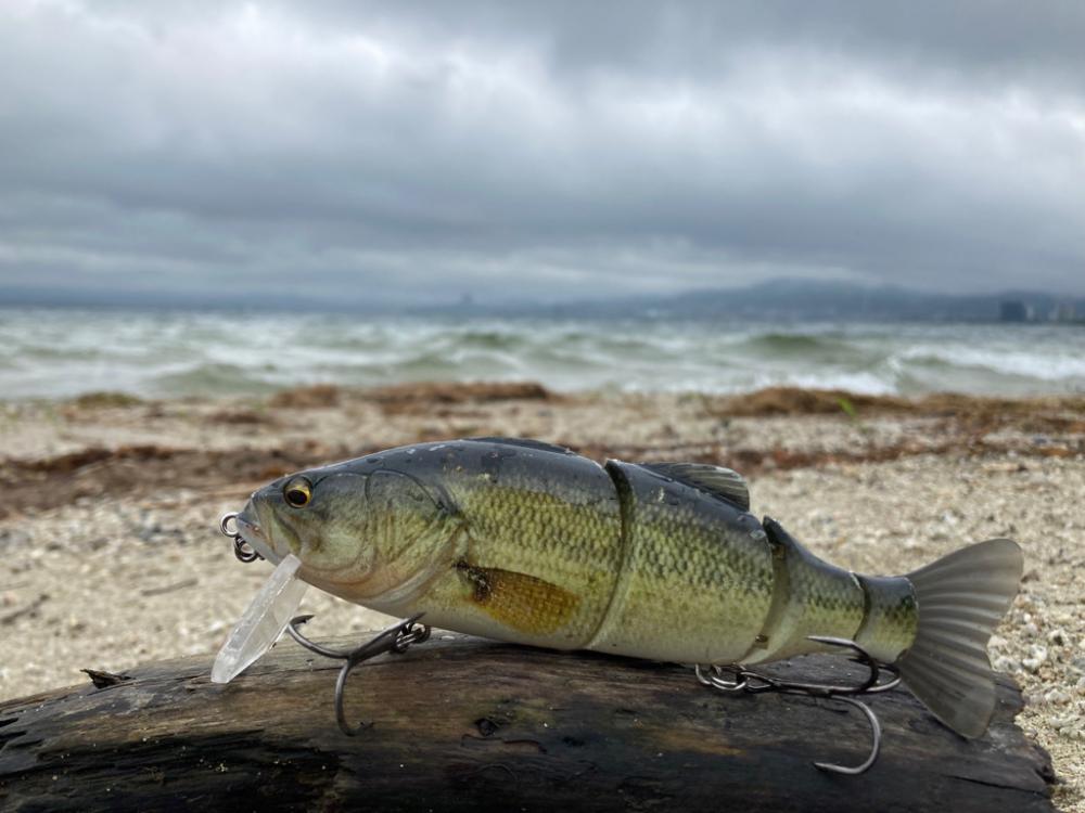 荒れた琵琶湖で巻きの釣り