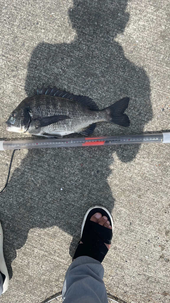 波止の足元フカセ