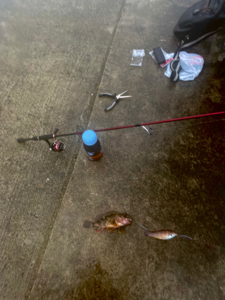 ちょい投げライトキスゲーム3