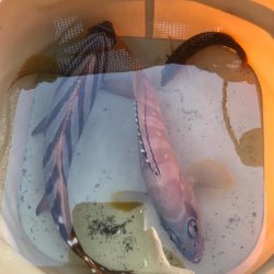 南紀の堤防でのんびり