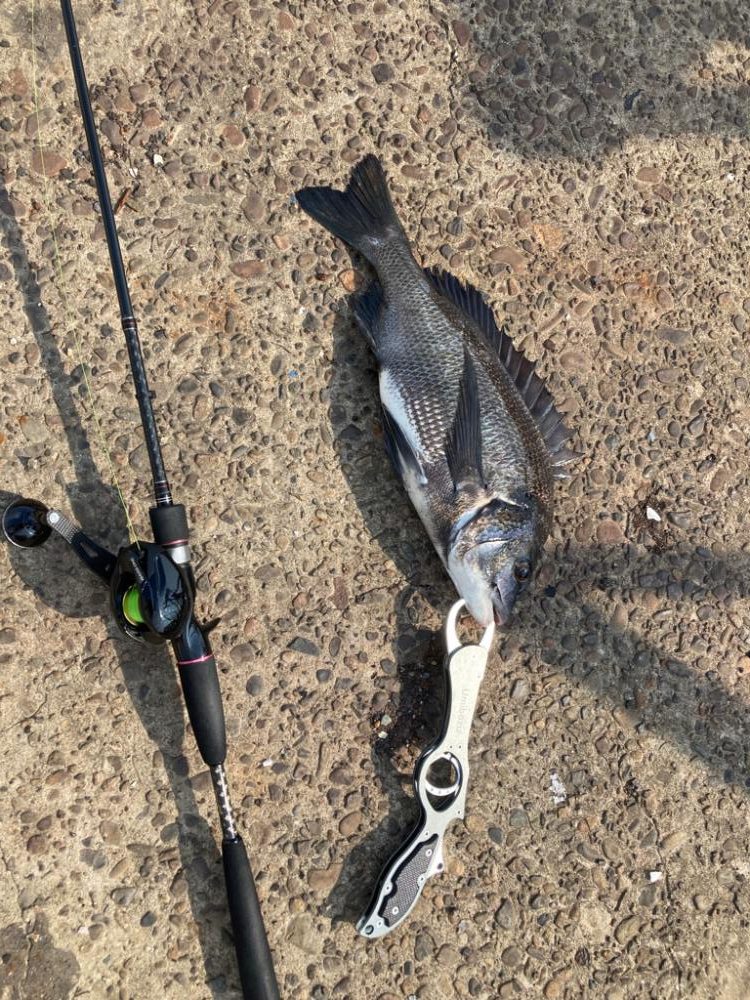 ⭐︎岸ジギサイコー