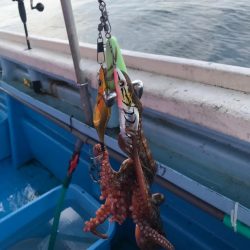 二見沖のタコ釣り