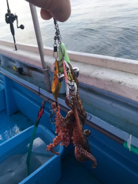 二見沖のタコ釣り